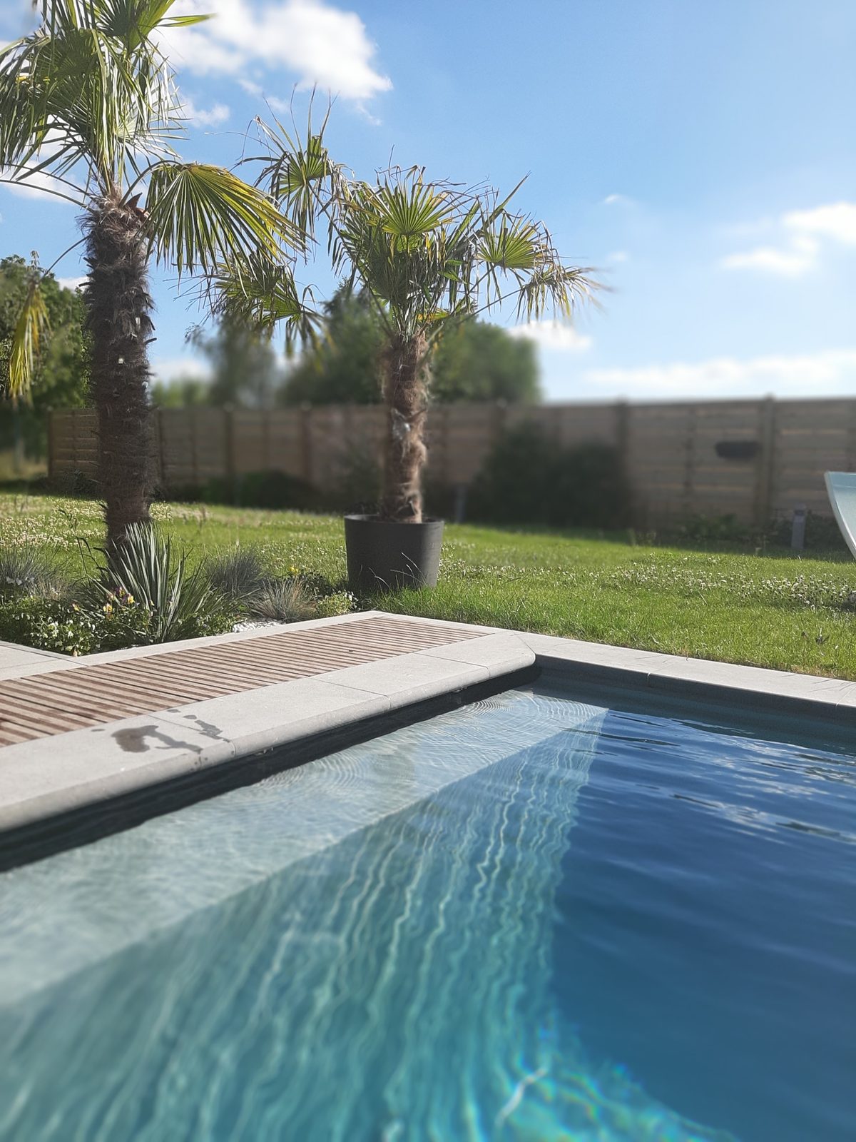 Zwembad met lichte natuurstenen boorden in een tuin met palmbomen